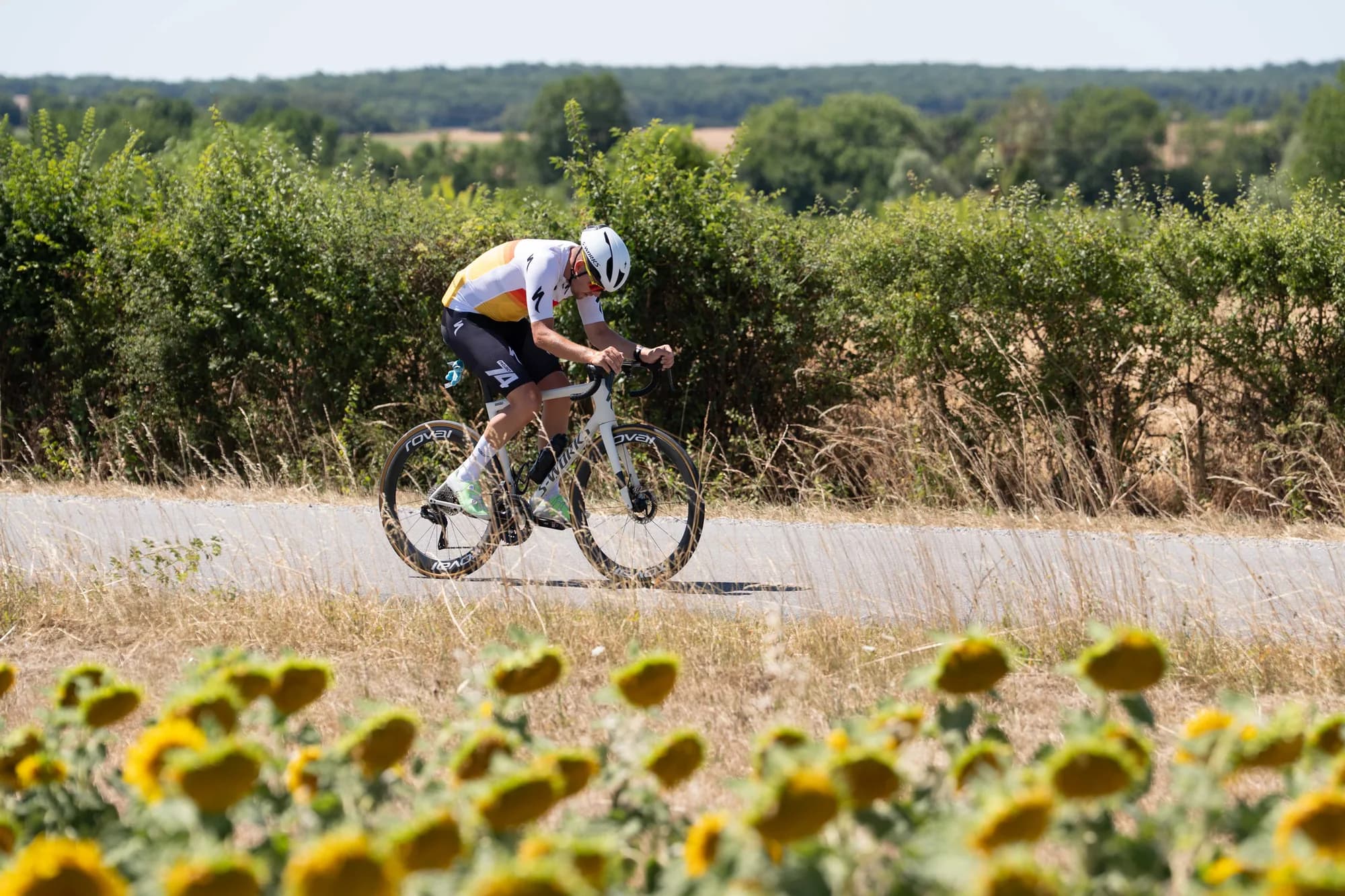 Renner diep gebogen op de racefiets langs een zonnebloemveld